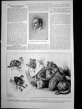 Old Golf Player Capt H Vesey Brooke Collie Clubs Show Islington 1892 Victorian