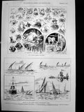 Old Glasgow Kennel Club Show Regatta 2Nd Div Mediterranean Fleet1891
