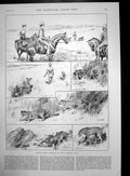 Antique Old Print Hunting Cheetahs Dhar India William 11 King Prussia 1889