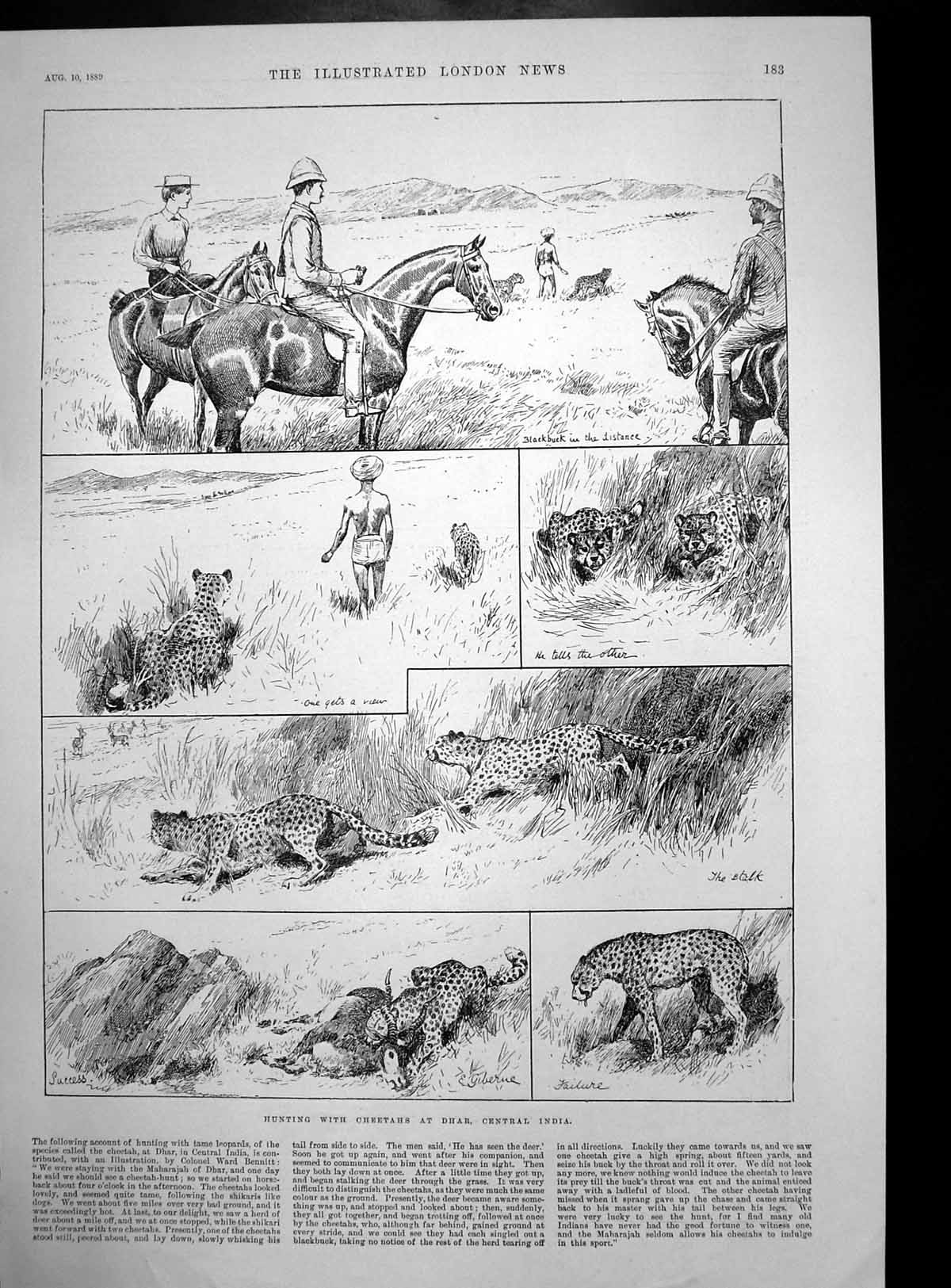Antique Old Print Hunting Cheetahs Dhar India William 11 King Prussia 1889