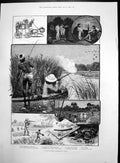 Old Antique Print Duck Shooting India Actors Shakspere Lady Macbeth 1893 19th