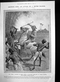 Old Antique Print Attack British Planter India Shoeing Horse Africa 1909 20th