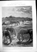 Original Old Antique Print Transvaal Crisis Boer Encampment British Troops 1899