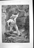 Antique Old Print Banket Reef De Kaap Gfields Deer Heart Forest Montbard1889