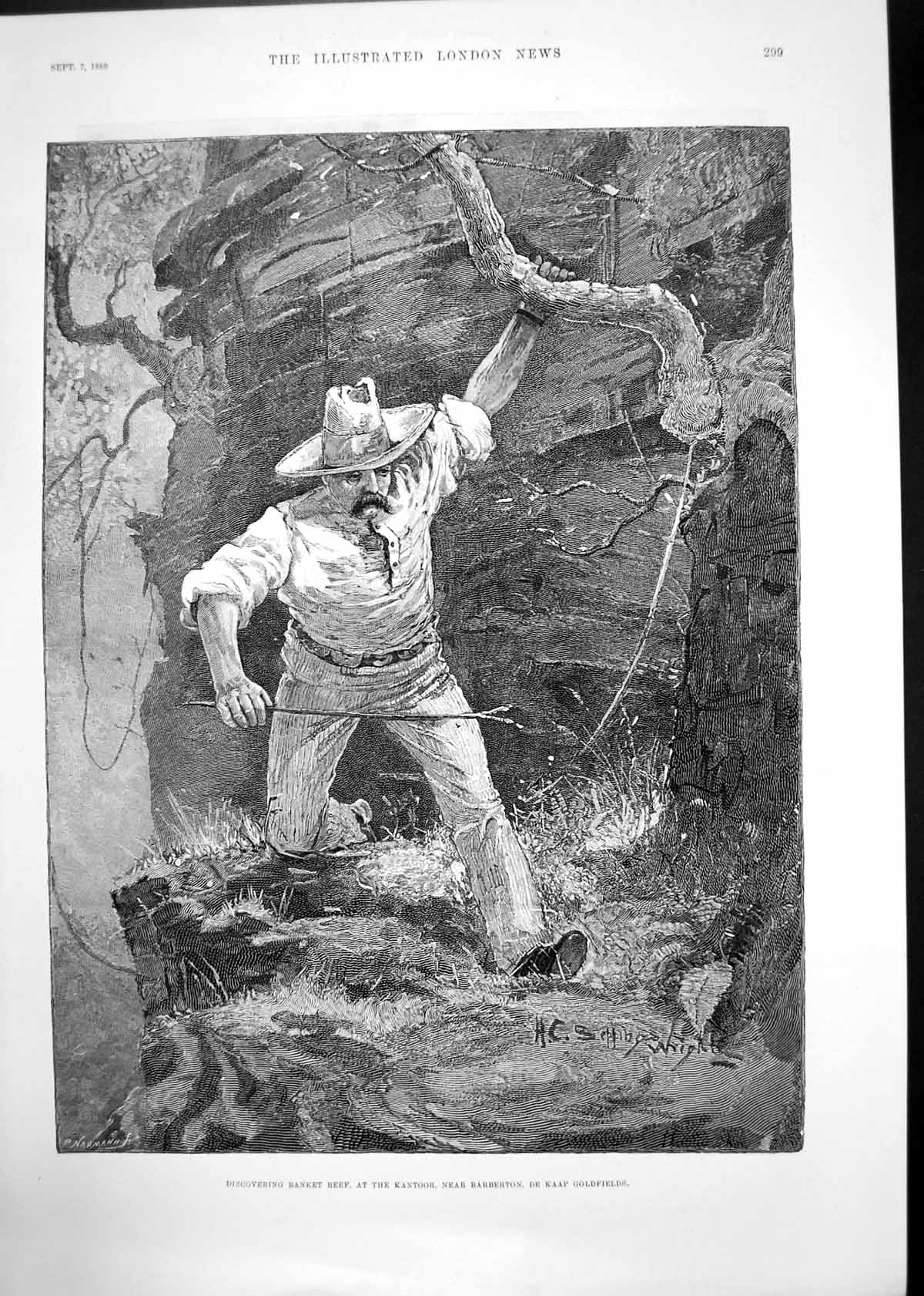 Antique Old Print Banket Reef De Kaap Gfields Deer Heart Forest Montbard1889