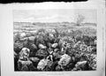 Old Antique Print Australian Back Settlement Nitrate Grounds Chile 1889 19th