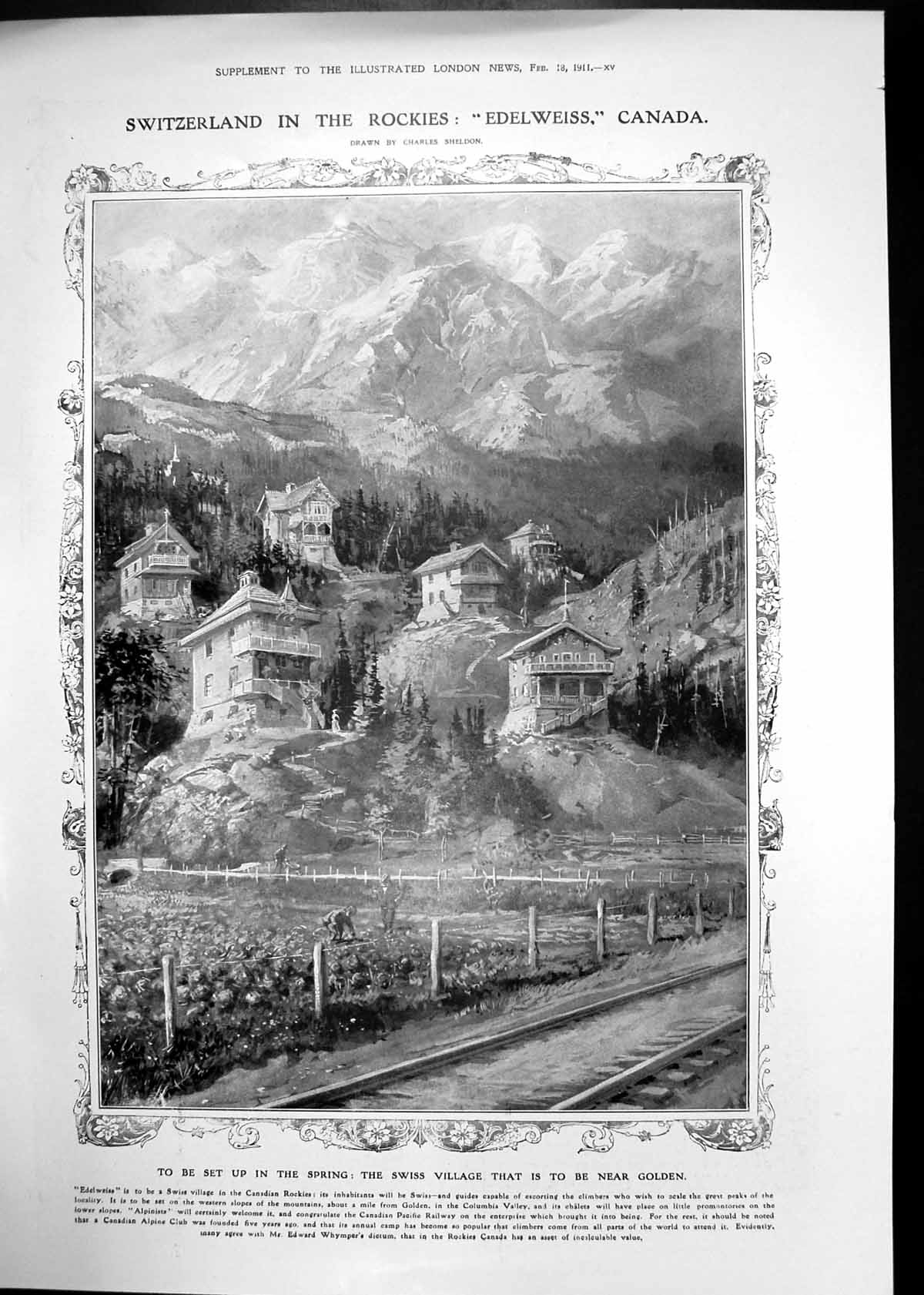 Antique Old Print Edeweiss Canadian Rockies Grand Trunk Railway Canada 1911