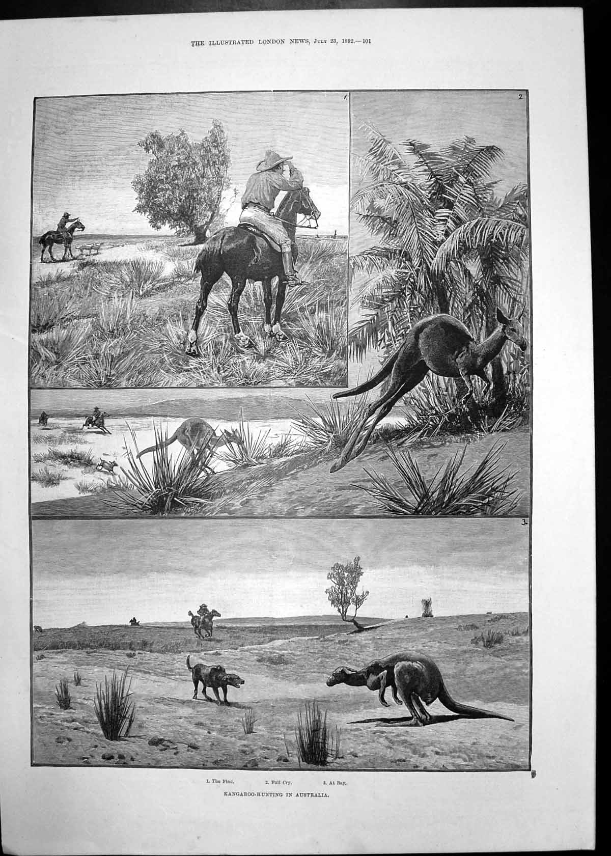 Old Print Kangaroo Hunting Australia Gainsford Bruce Qc Edith Brill 1892 19th