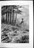 Old Print Shooting Wapiti Chinese Turkestan Rev Wg Cowie T Mitchell 1902 20th