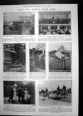 Antique Print Fire Coney Island Automatic Stamp Machine King Queen Zoo 1911