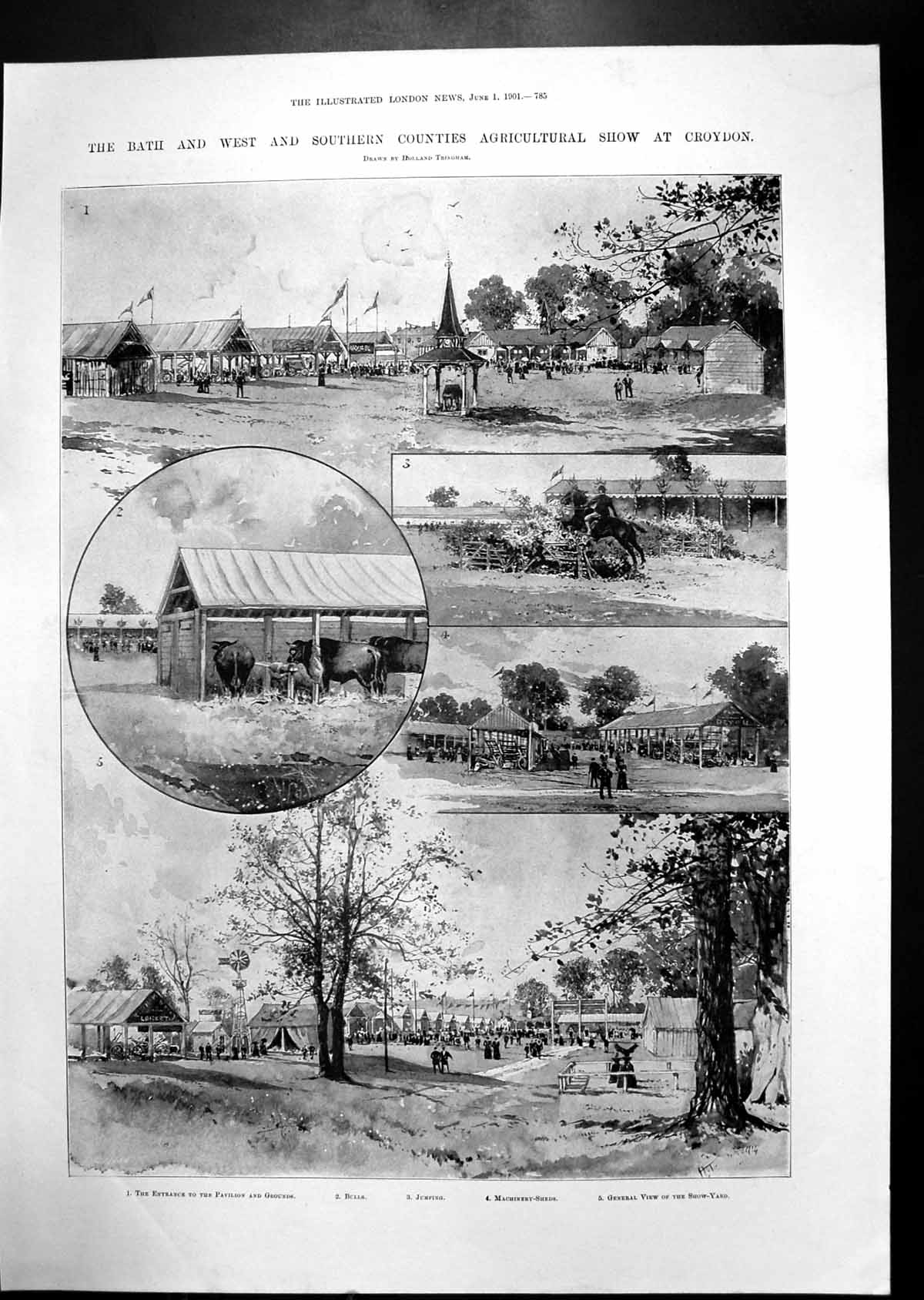 Old Agricultural Show Croyden Crystal Palace Jubilee Exhibition 1901 Victorian