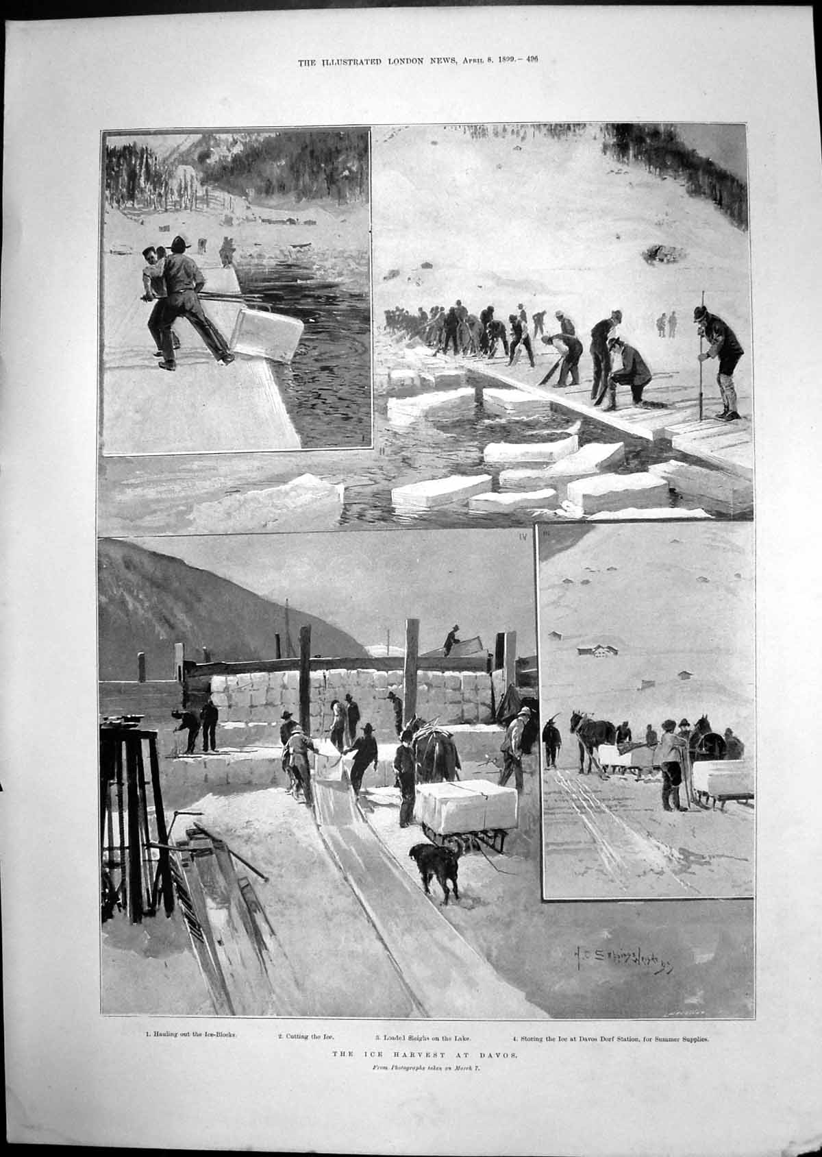 Old Print Ice Harvest Davos Queen Victoria Cimiez Zoo Stroking Lion 1899 19th
