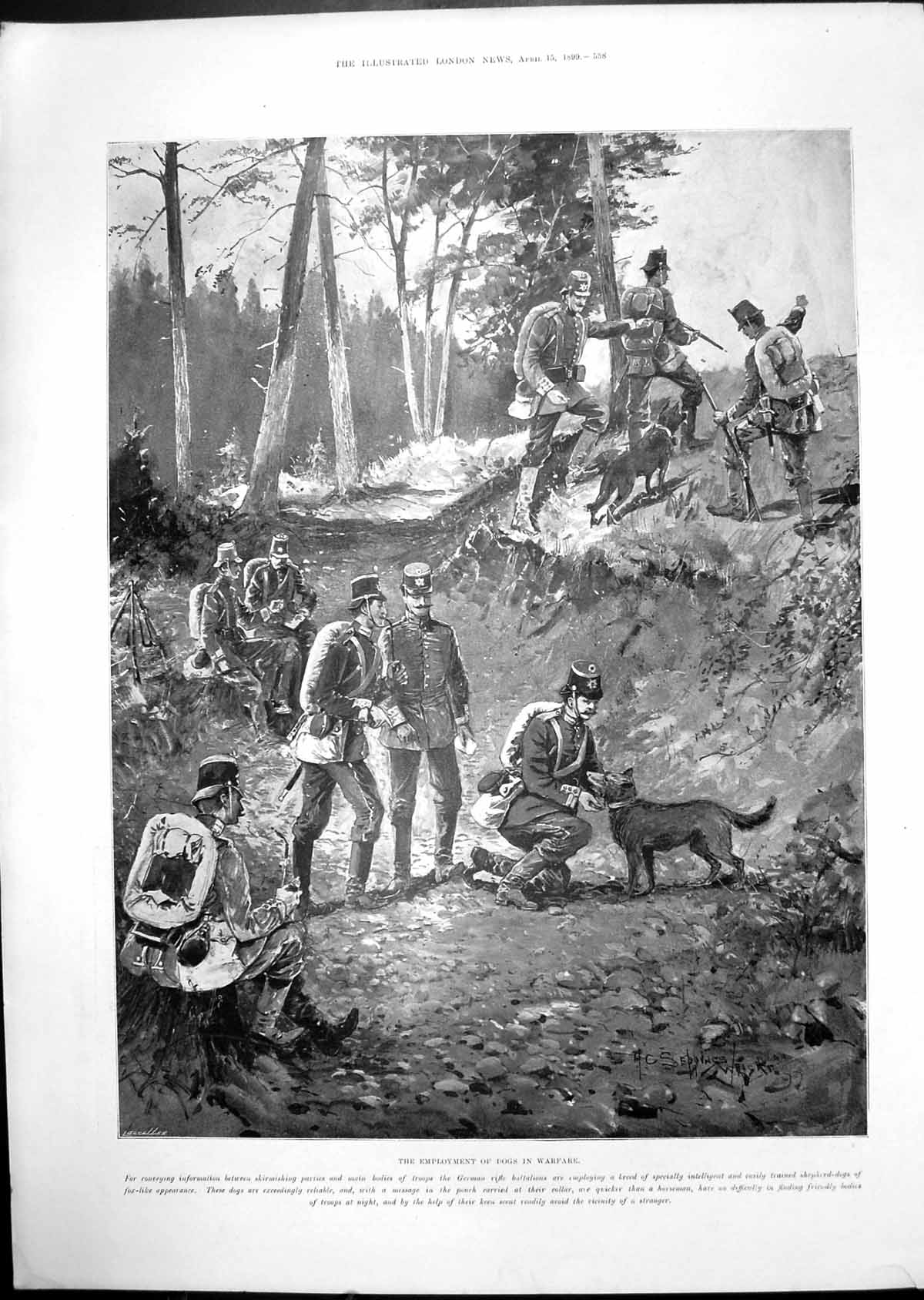 Antique Old Print Employment Dogs Warfare Robert Louis Stevenson'S Tomb 1899