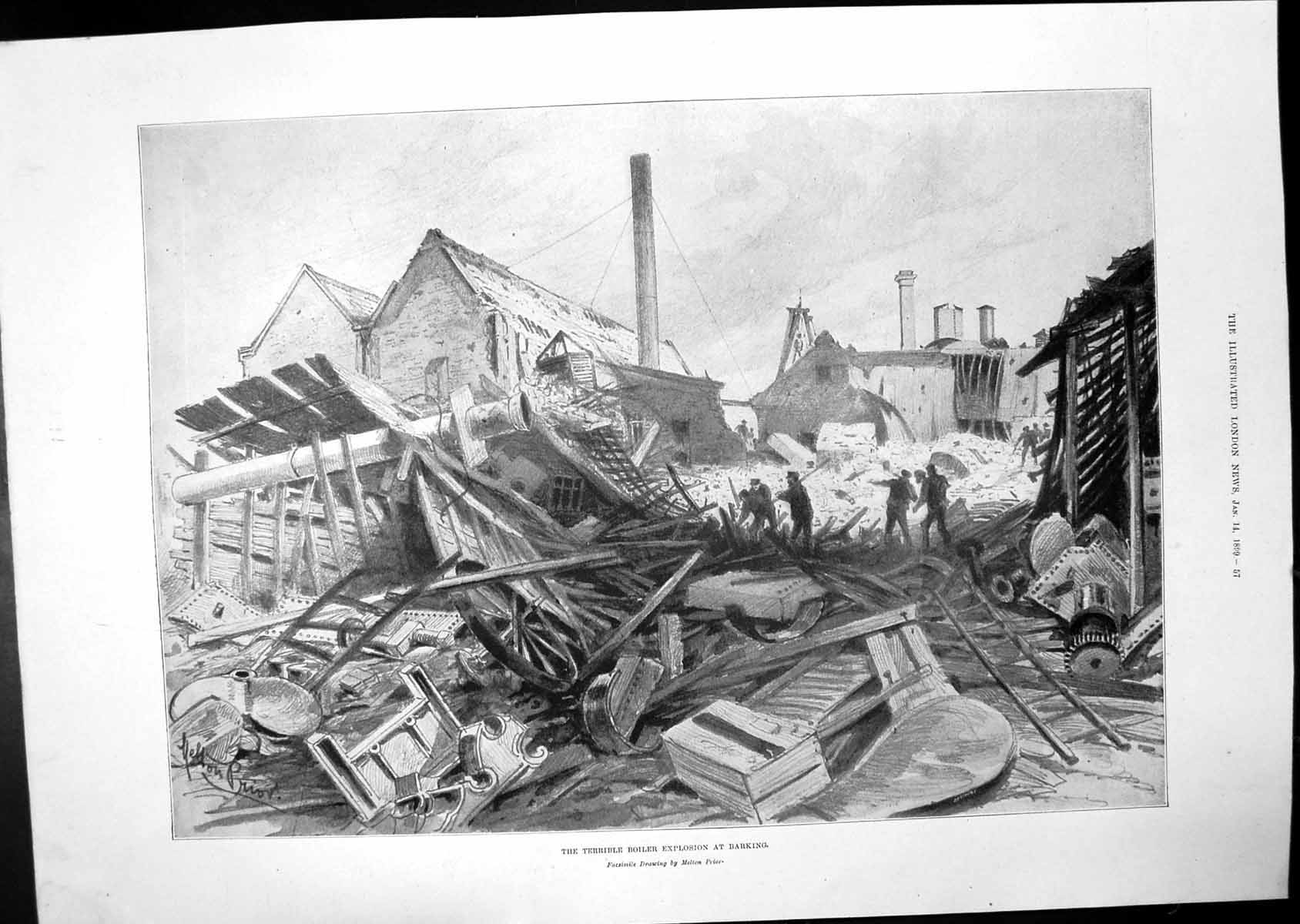 Old Boiler Explosion Barking Ruppell'S Vulture Western Desert Egypt