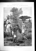 Old Rising Somaliland Trackers Spore Lyttelton Harbour New Zealand 19 20th