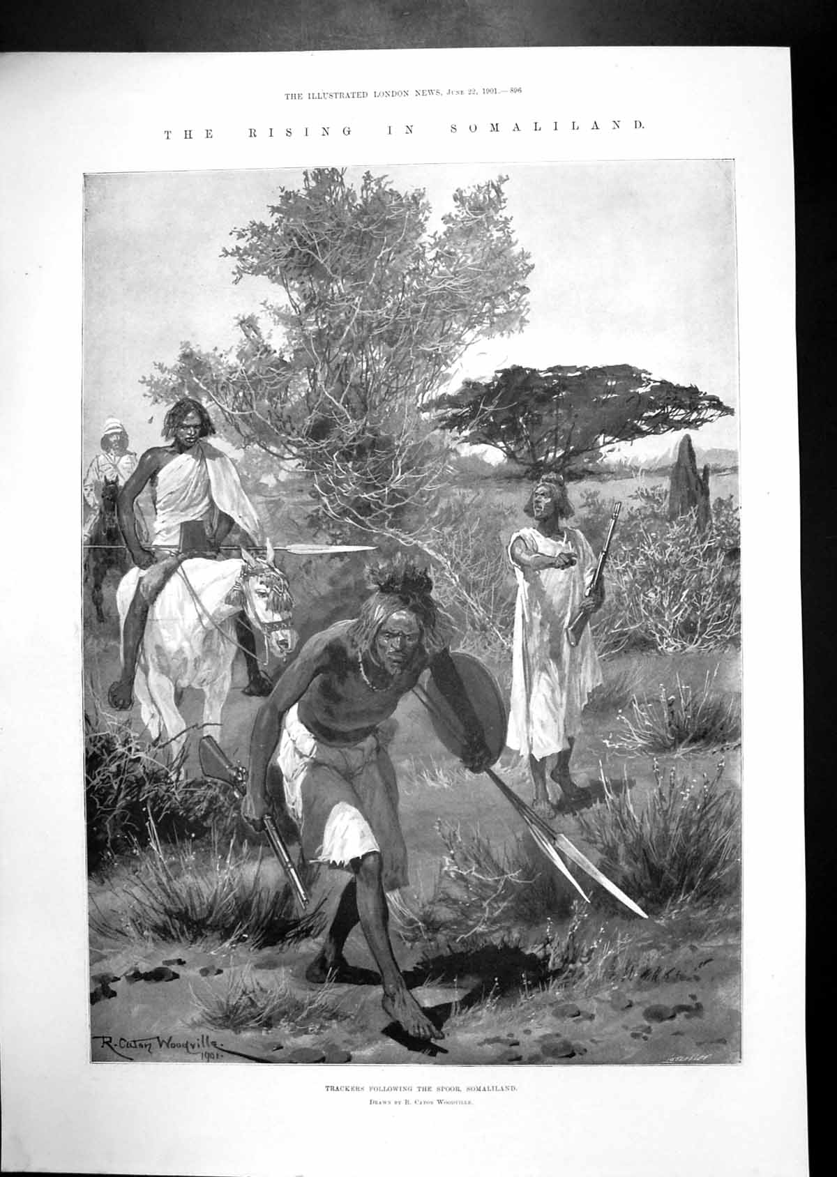 Old Rising Somaliland Trackers Spore Lyttelton Harbour New Zealand 19 20th