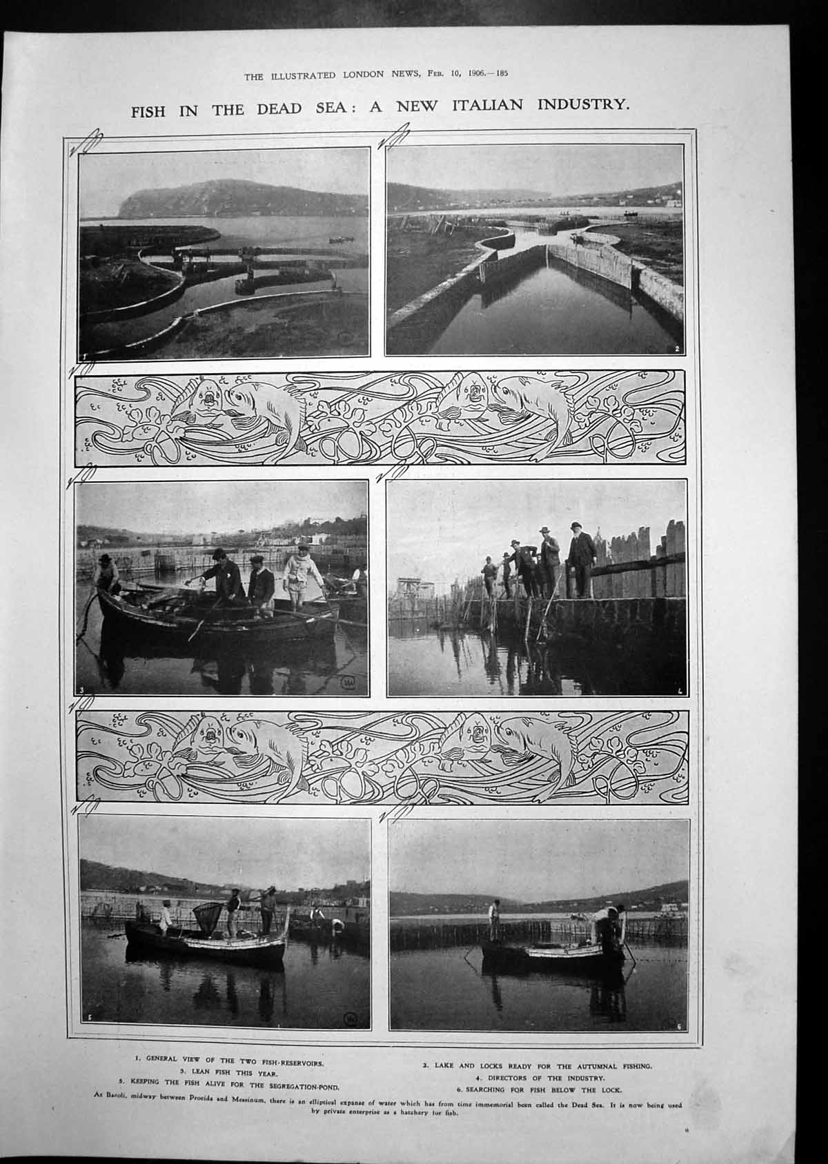 Old Italian Industry Fishing Dead Sea Cat Man'S Head Pills Story Madn