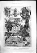 Old Scenes Tonga Islands Silchester Excavations Pottery Human Remains
