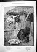 Old Food For Reflection Turkey Pigs Poem Suited Gentleman Child 1888 Victorian