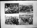 Old Print British S African Co Expedition Mashonaland Museumbrussels1891 19th