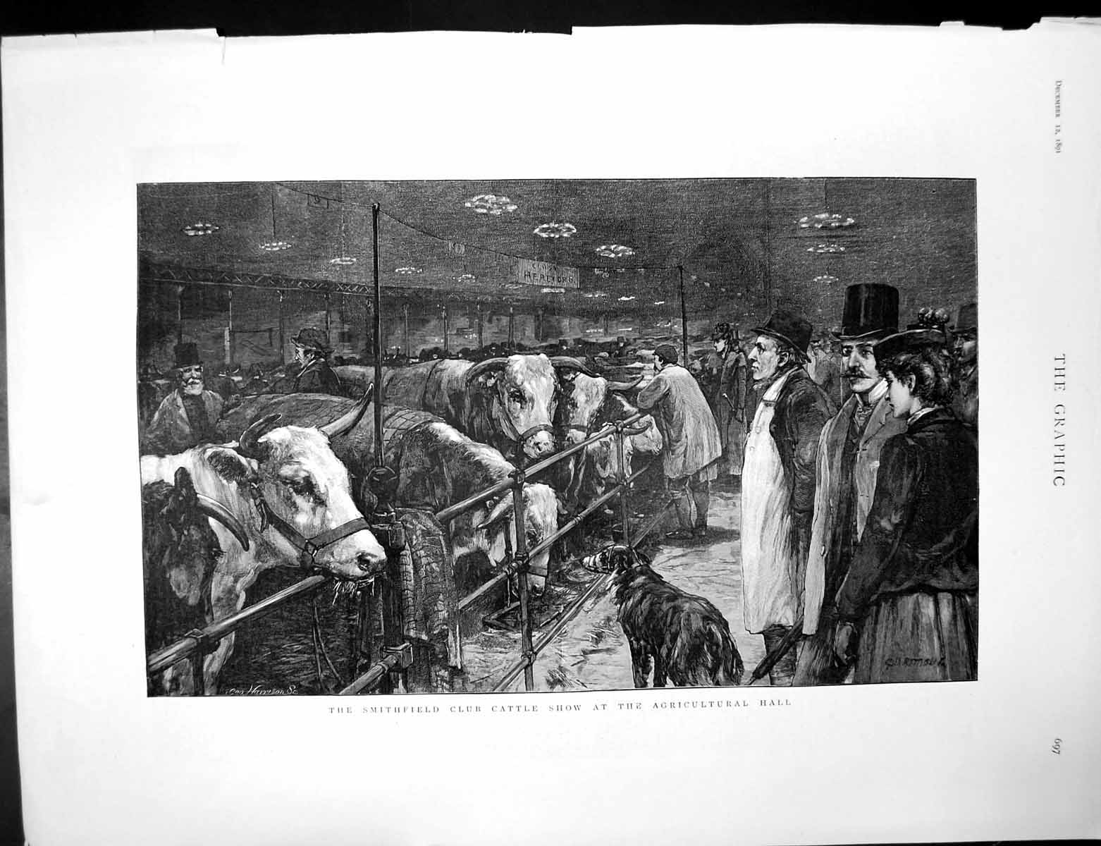 Antique Print Smithfield Cattle Show Late Dom Pedro Ex Emperor Brazil 1891 19th