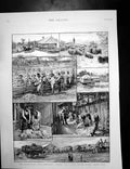 Antique Old Print Sheep Farm Australia Wool Late Sultan Morocco M Hassan 1894