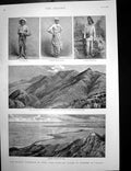 Antique Print Jamaica Kingston Newcastle Prize Dogs Ladies Kennel Show 1895
