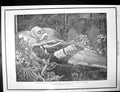 Antique Old Print Body Late King Italy New Royal Yacht Portsmouth Trials 1900