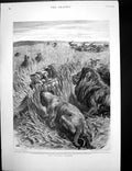 Antique Old Print Stalker Stalked Bi Centenary Bank Scotland Edinburgh 1895