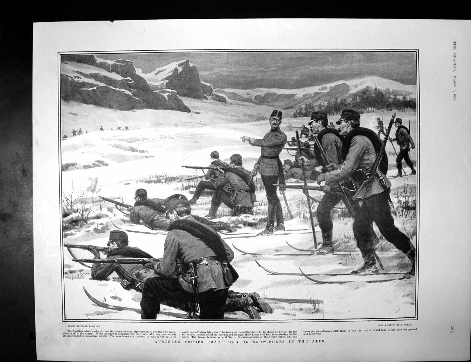 Antique Old Print Austrian Troops Snow Shoes Alps Shire Horse Soc Show 1902