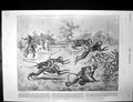 Antique Print Monkeys Paperchase India Shootingsenator Goebel Kentucky1900 20th