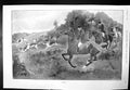 Antique Old Print Viewed! Hounds Chasing Horses Following Lady M Loder 1898