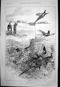 Old Pheasant Shooting In Ditches Memorial Bust Late Rev H White 1891 Victorian