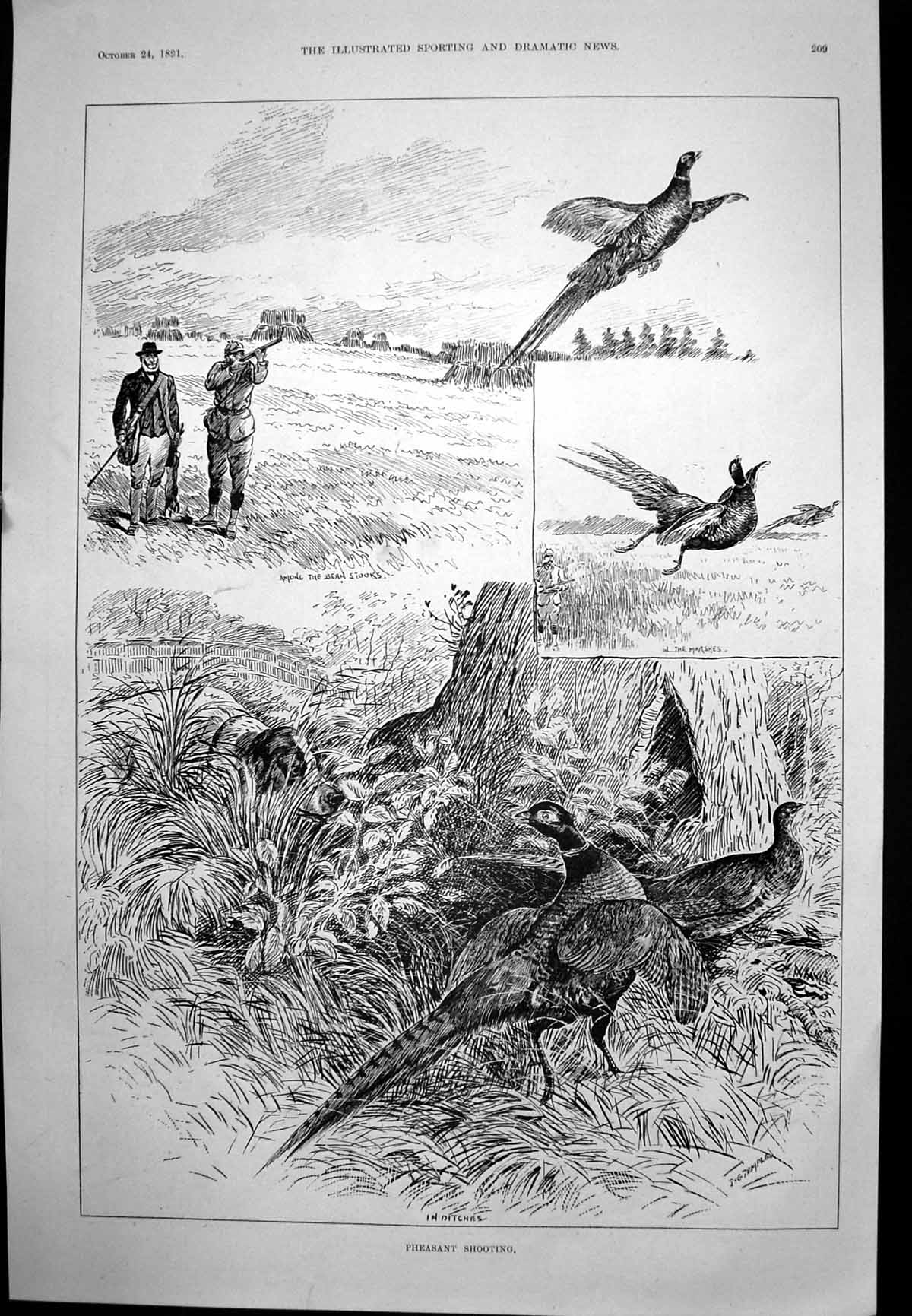 Old Pheasant Shooting In Ditches Memorial Bust Late Rev H White 1891 Victorian