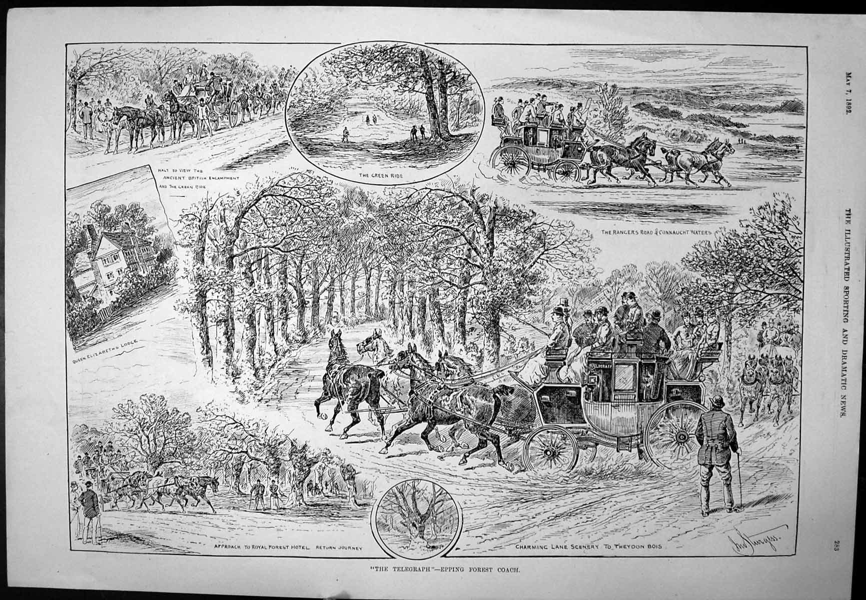 Old Antique Print The Telegraph Epping Forest Coach Amateur Boxing 1892 19th