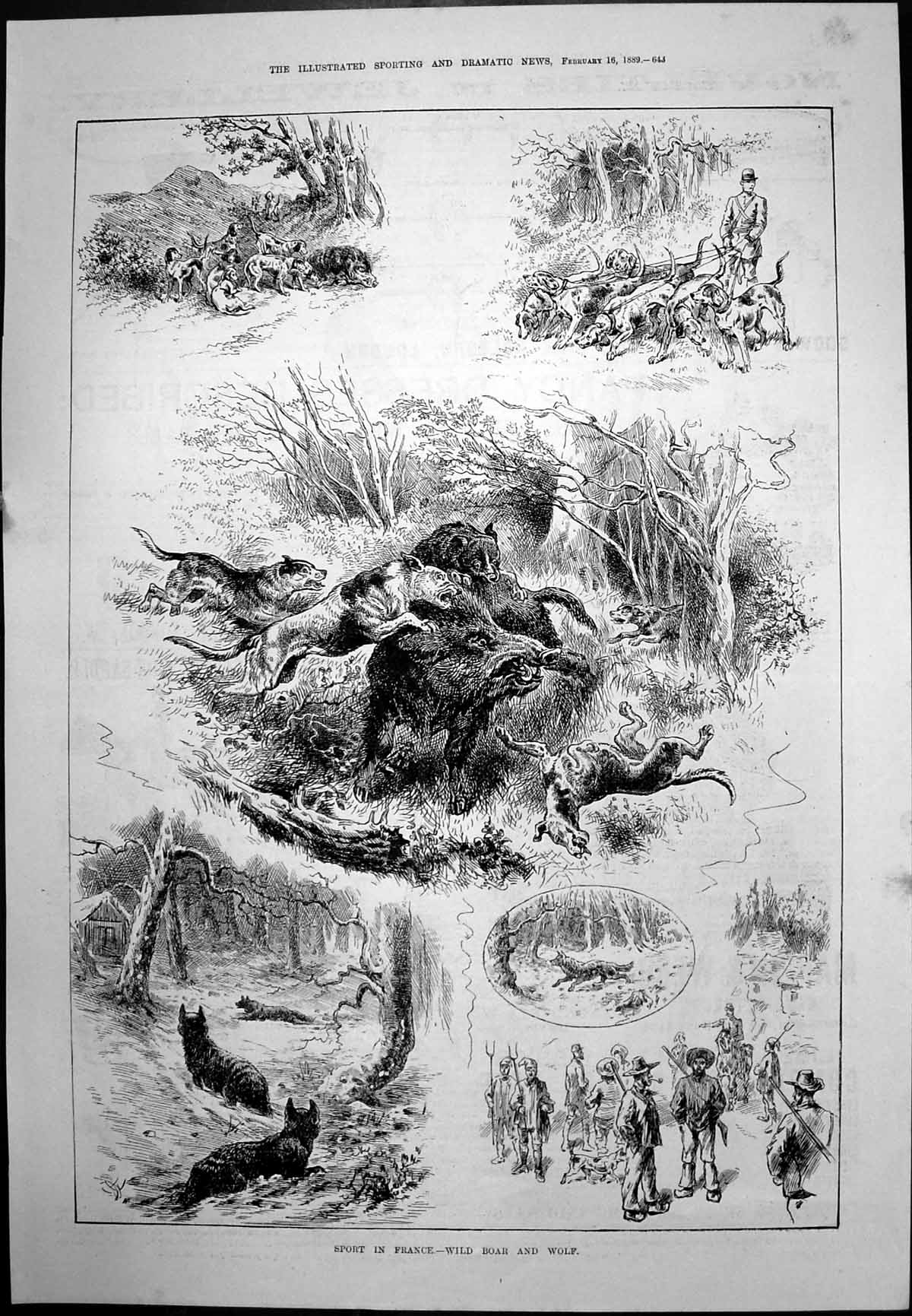 Antique Old Print Sport In France Wild Boar And Wolf Caricatures Theatre 1889