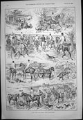 Antique Old Print Day With Countydown Staghounds Wild-Fowling Ireland 1892 19th