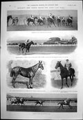 Old Print Newmarket Jockey Club Stakes Gentleman Hilariis La Poupee 1901 20th