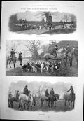 Antique Old Print Hertfordshire Hounds Pack Cole Green Tigers Hippodrome 1901