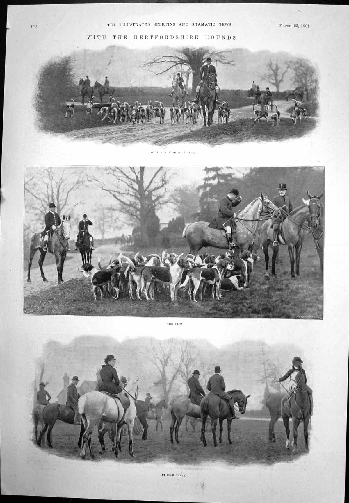 Antique Old Print Hertfordshire Hounds Pack Cole Green Tigers Hippodrome 1901