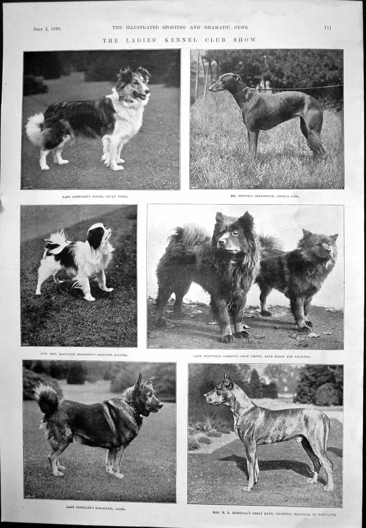 Old Ladies' Kennel Club Show Dogs Haigh Yorkshire Bowler Cricket 1898 Victorian