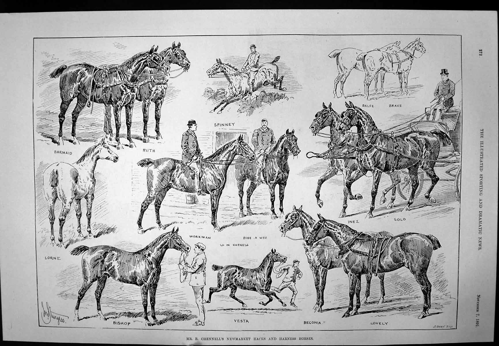 Antique Old Print Newmarket Hacks Harness Horses Dog Show Crystal Palace 1891