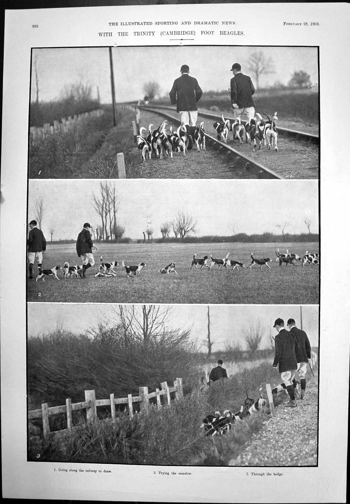Antique Old Print Trinity Cambridge Foot Beagles Oxford Boat Practice 1903 20th