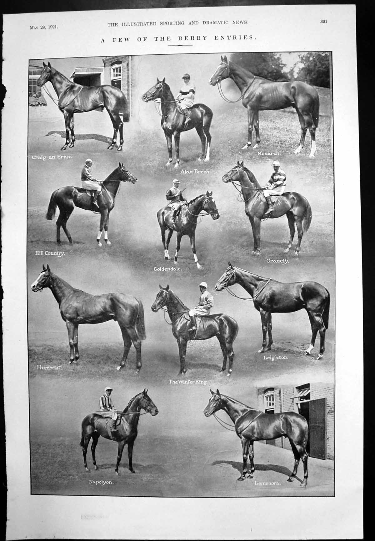 Old Vintage Print Few Derby Entries Horses Man Drew Runner Calcutta 1921 20th
