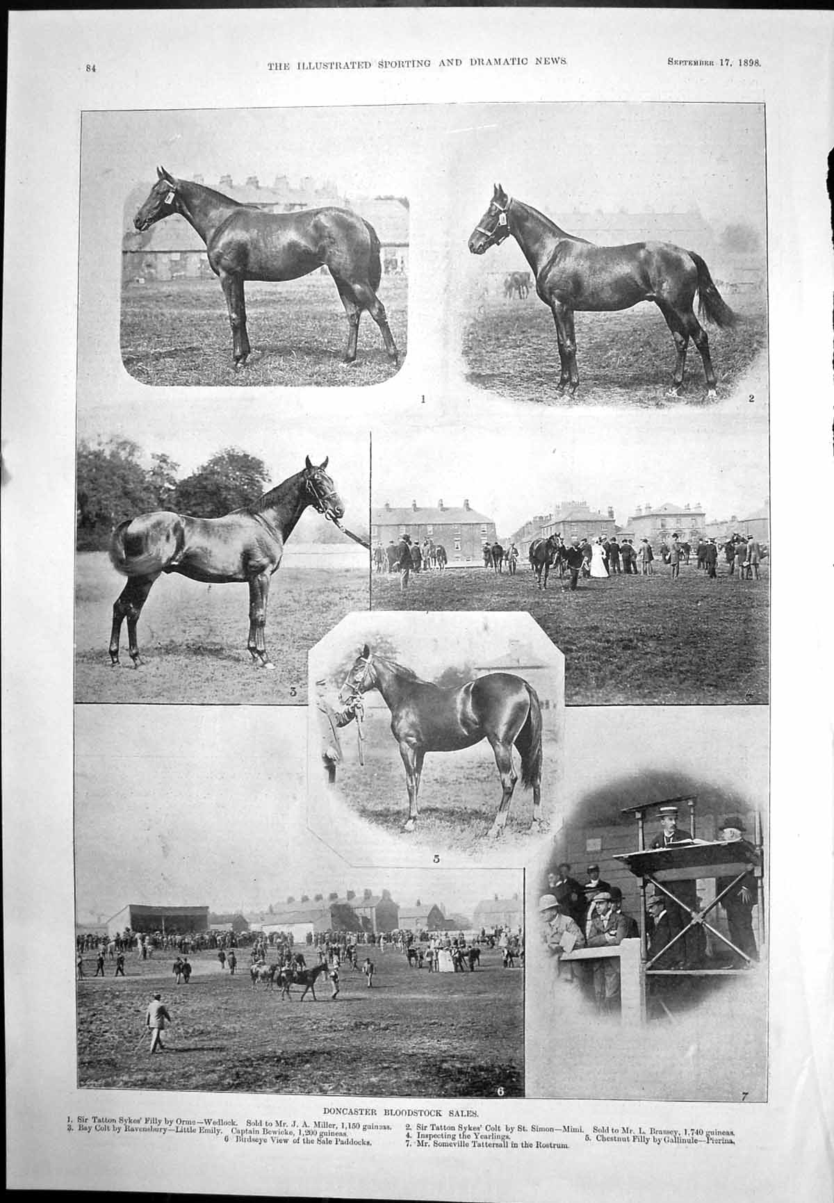 Old Print Doncaster Bloodstock Sales Horses Jubilee Vase St Andrews 1898 19th