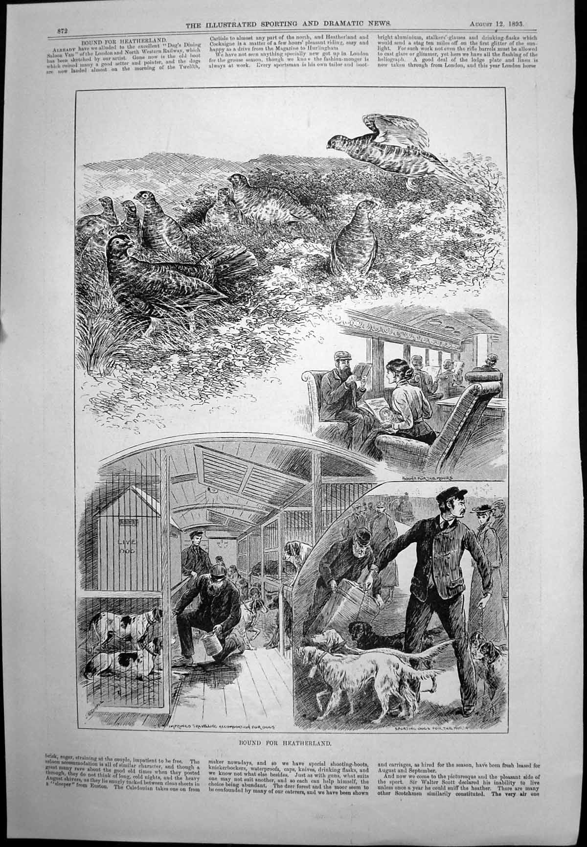 Old Print Bound For Heatherland Dogs Aboard Train Signor A Seppilli 1893 19th
