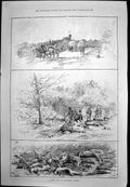 Old Print Mixed Bag Blackhall Castle Roe Deer Miss Esmeralda Theatre 1887 19th