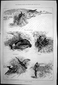 Antique Old Print Blackcock Shooting Stalking Critic Swim Championship 1887