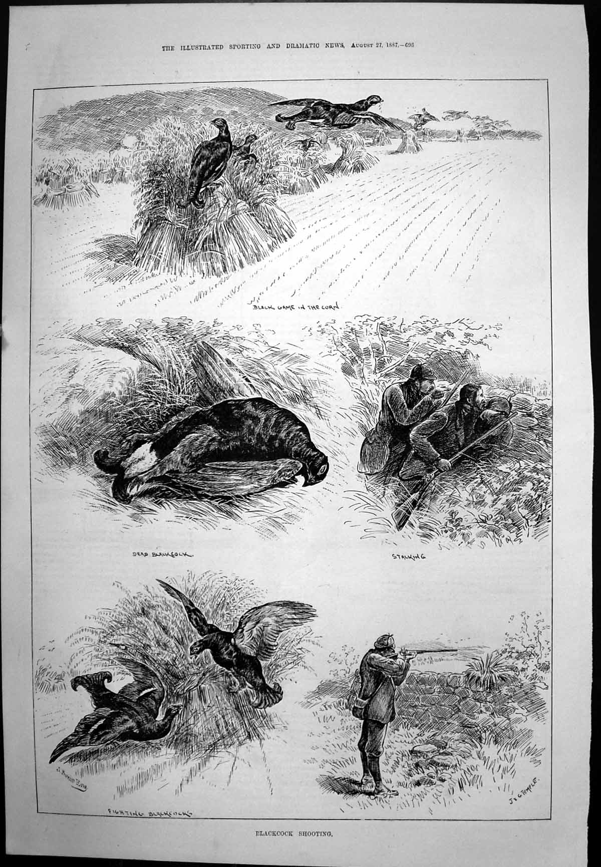 Antique Old Print Blackcock Shooting Stalking Critic Swim Championship 1887