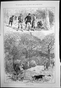 Old Antique Print Pheasant Shooting Woodland The Late Lord Falmouth 1889 19th